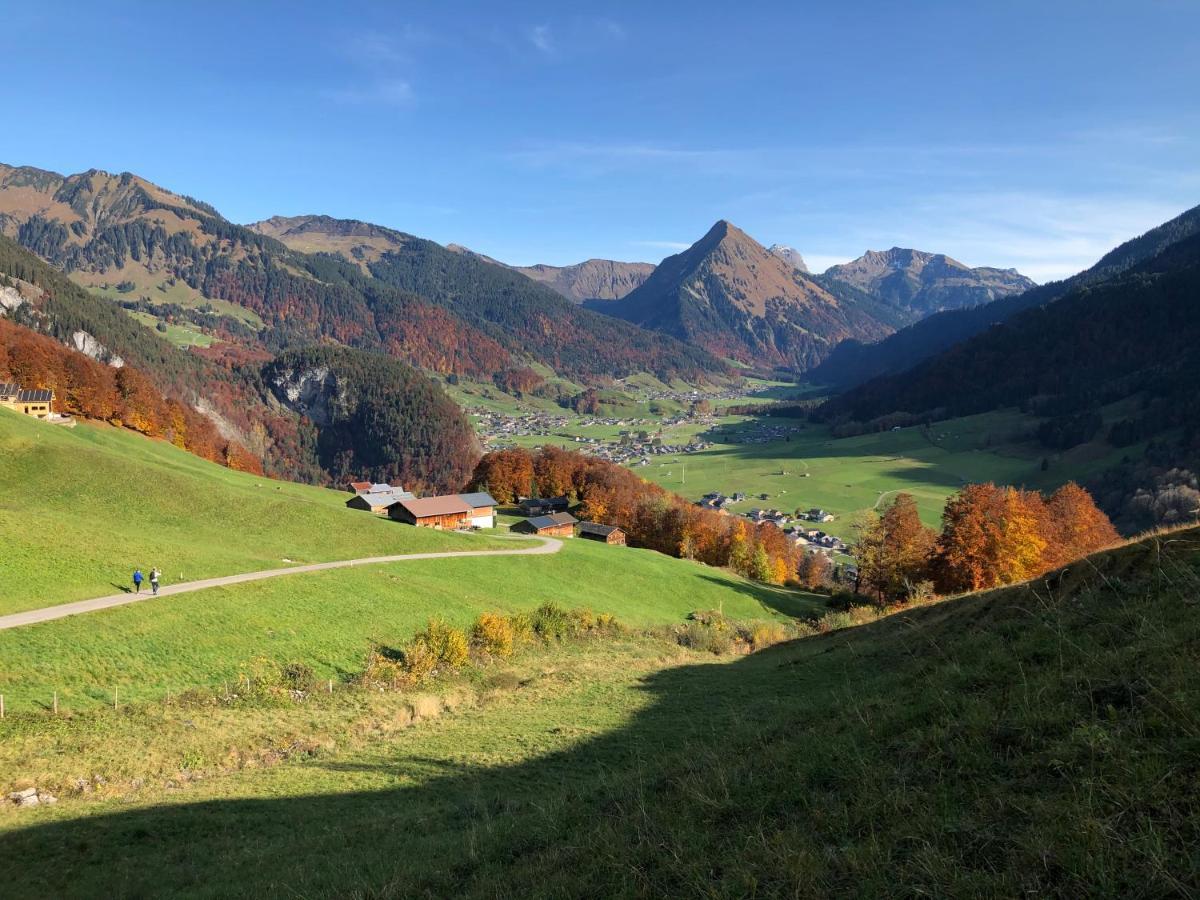 Haus Erna Schoppernau Hotel ภายนอก รูปภาพ